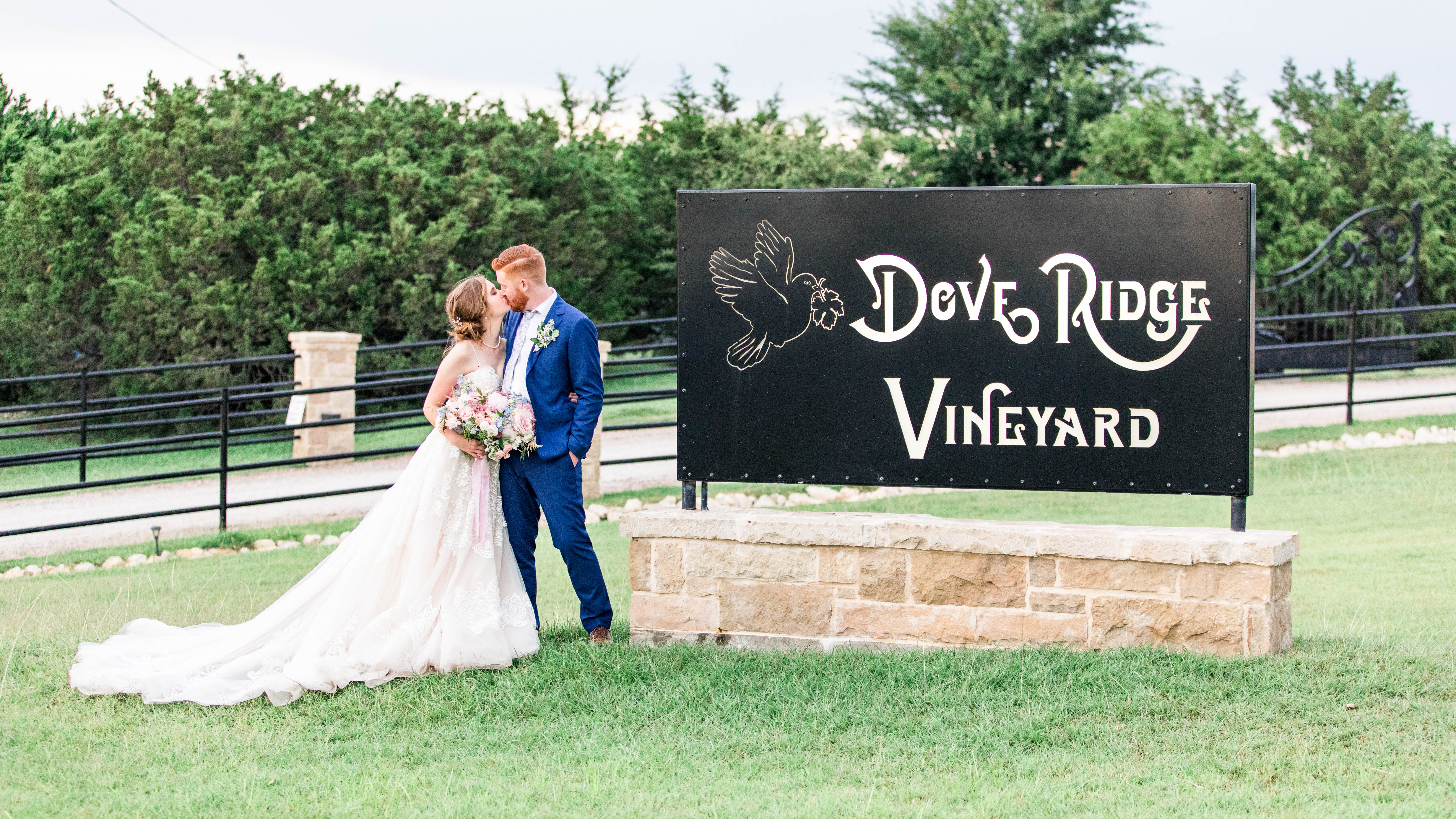 Dove Ridge Vineyard